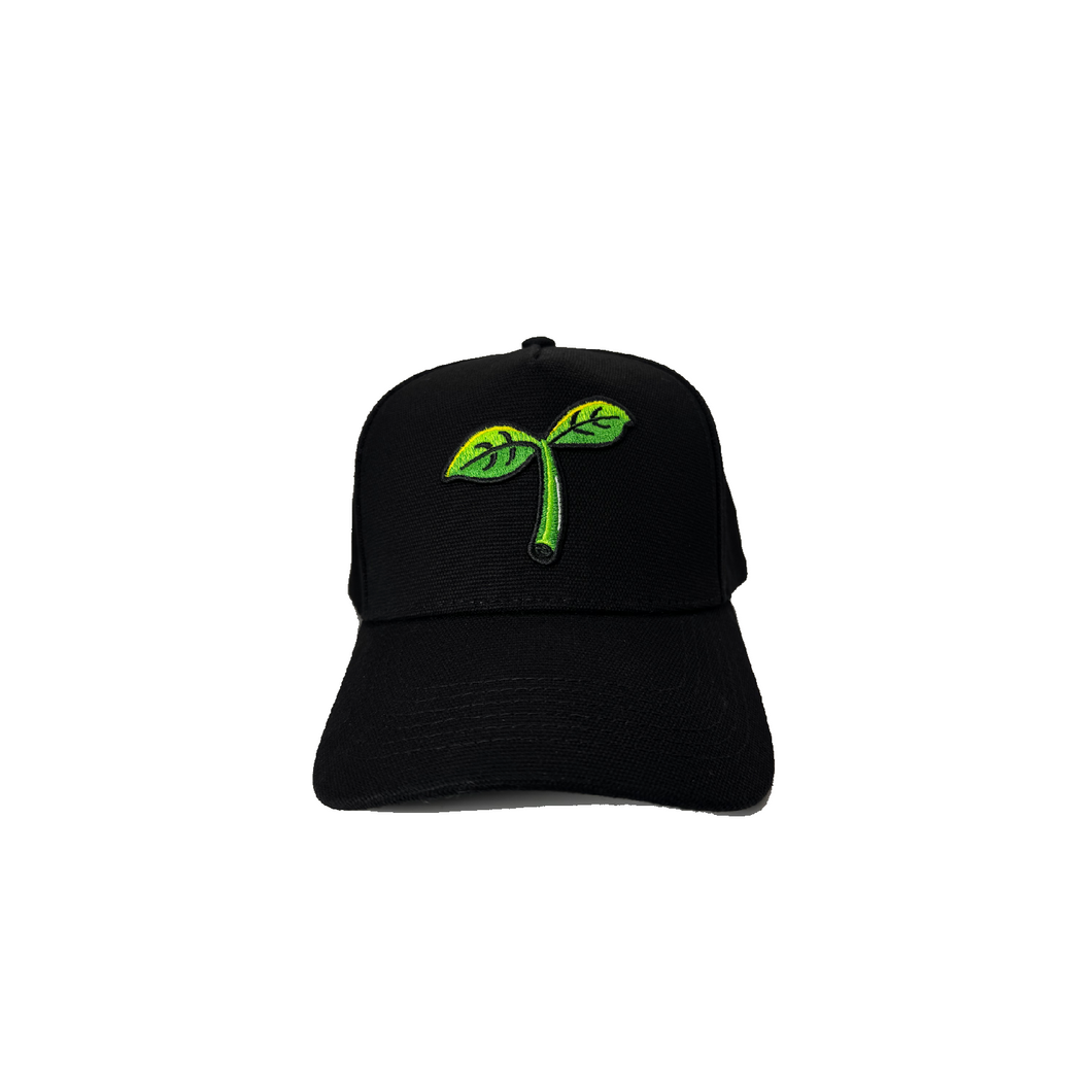 SPROUT HAT